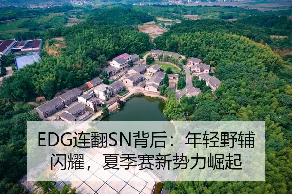 EDG连翻SN背后：年轻野辅闪耀，夏季赛新势力崛起